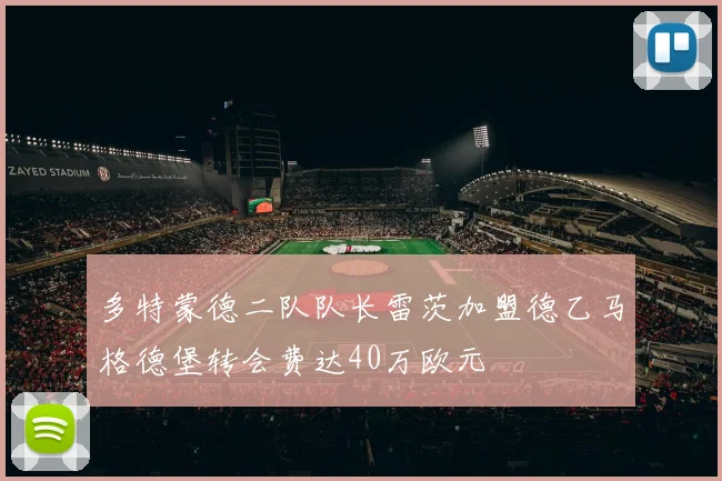 多特蒙德二队队长雷茨加盟德乙马格德堡转会费达40万欧元